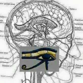 Caudrey P.'s profile image