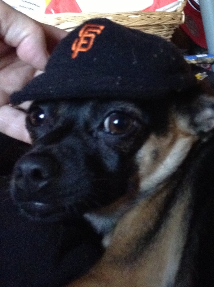 Lisa G.'s profile image