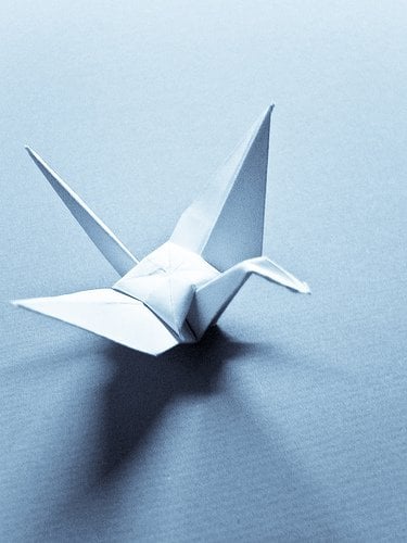 Shirley N.'s profile image