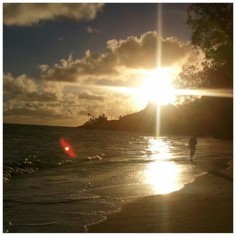 S H.'s profile image