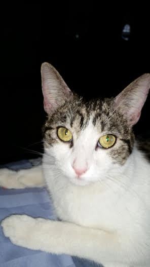 Bronte M.'s profile image