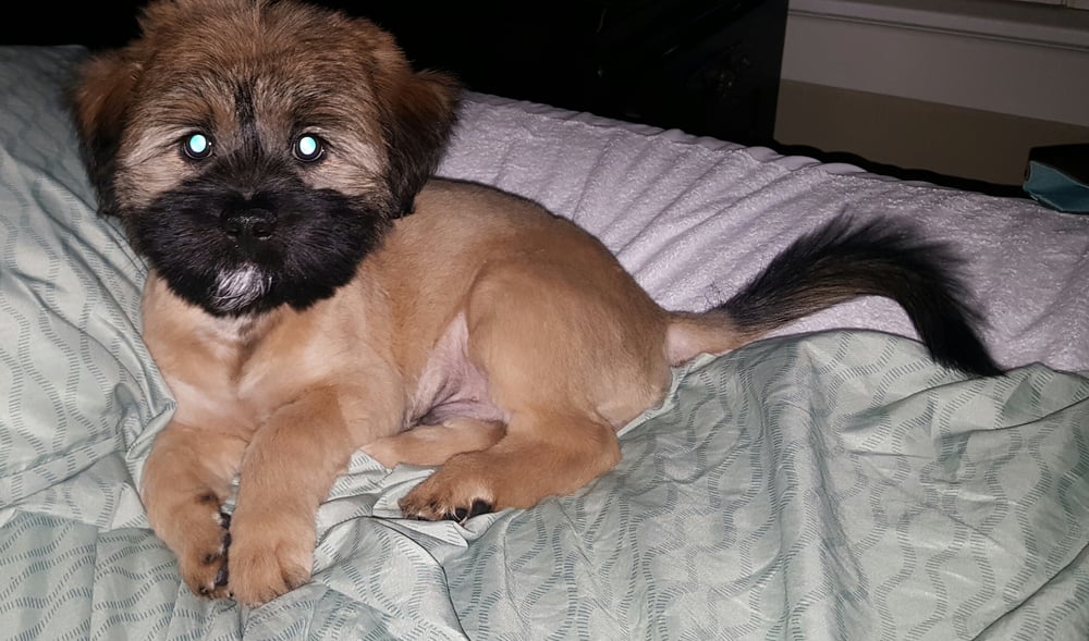 Jay R.'s profile image