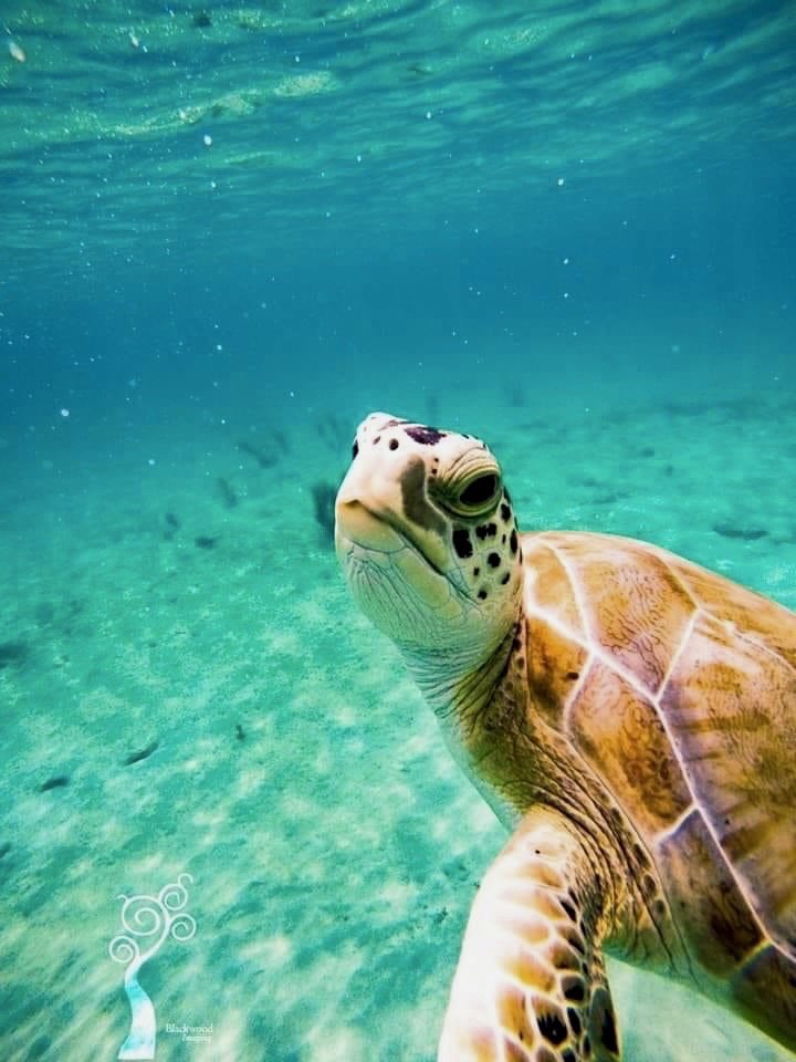 R K.'s profile image