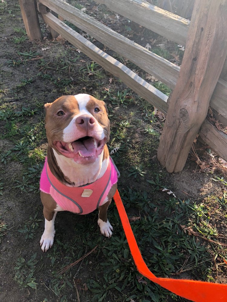 Andy D.'s profile image