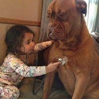 L A.'s profile image