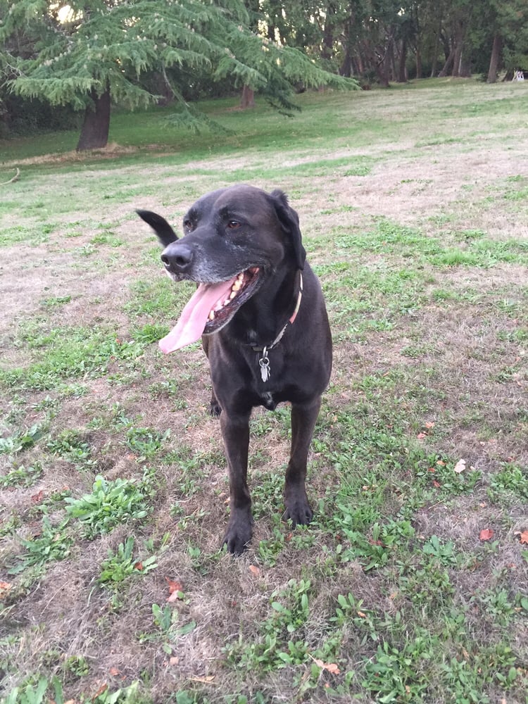 CHARLEY H.'s profile image