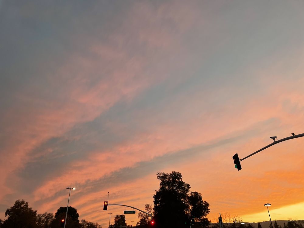 Daniela S.'s profile image