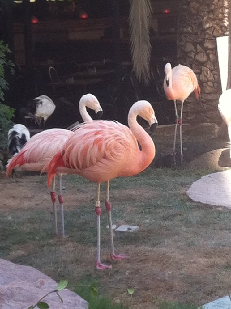 Wen D.'s profile image