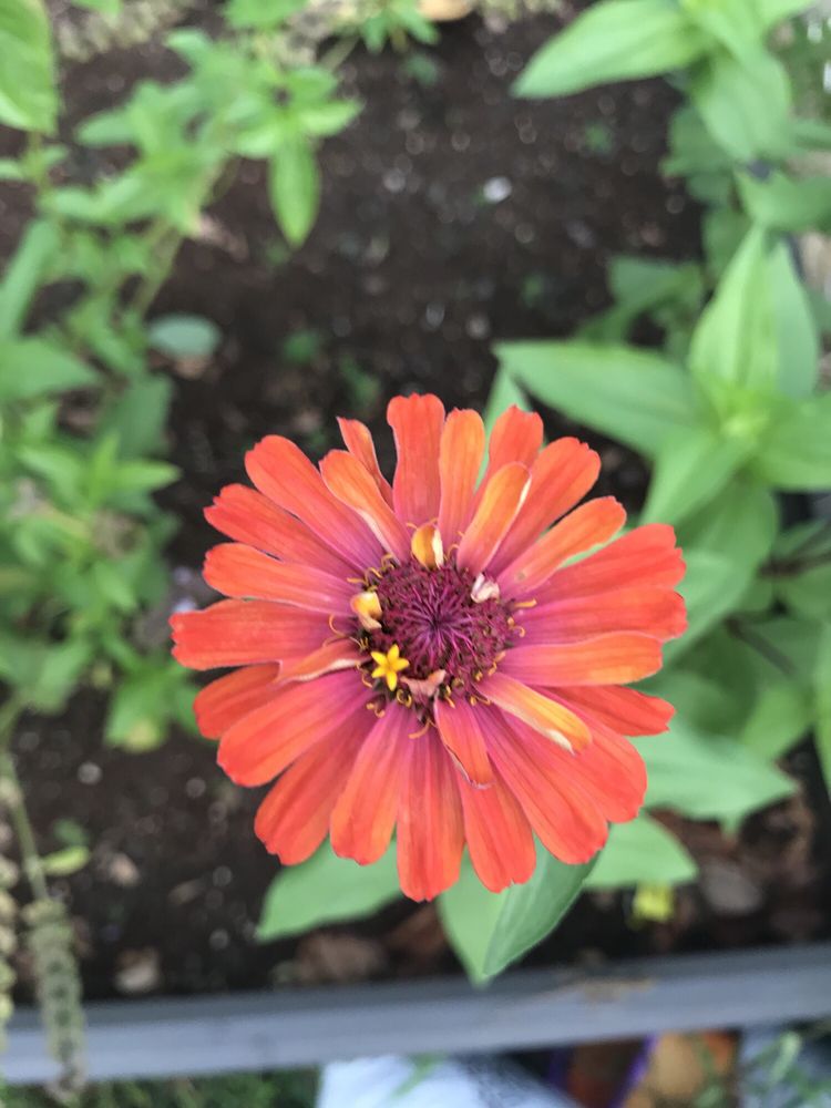 Chris G.'s profile image