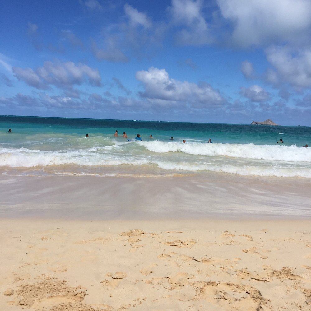 Sara H.'s profile image