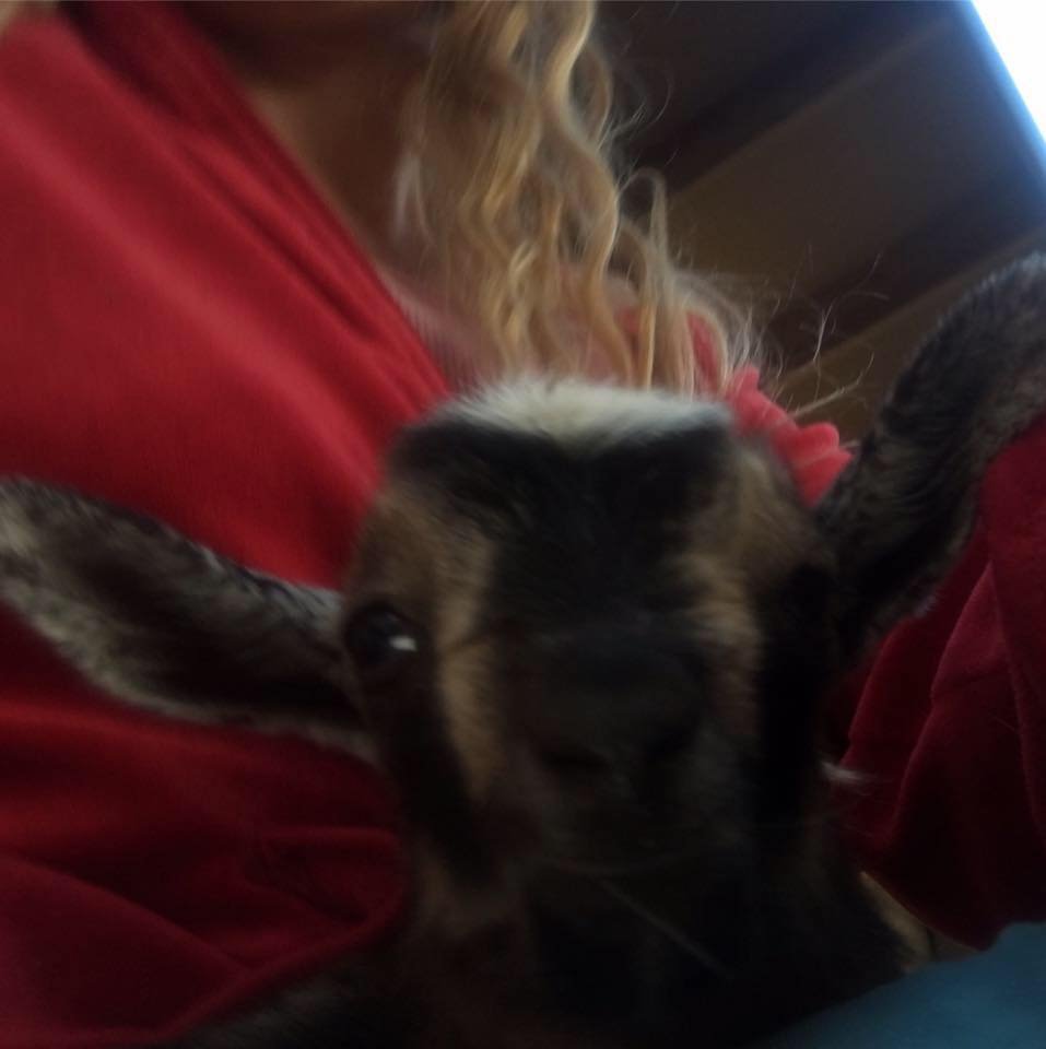 Aimée B.'s profile image