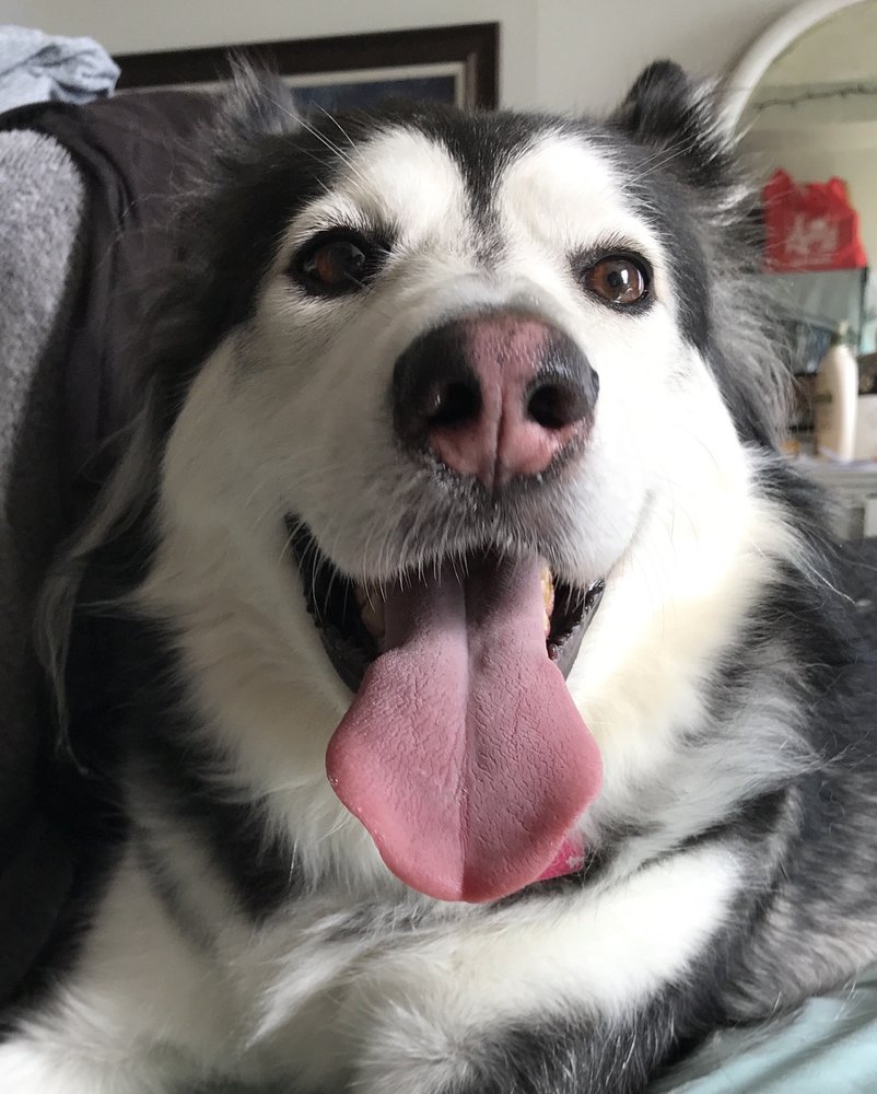 Geoffrey R.'s profile image