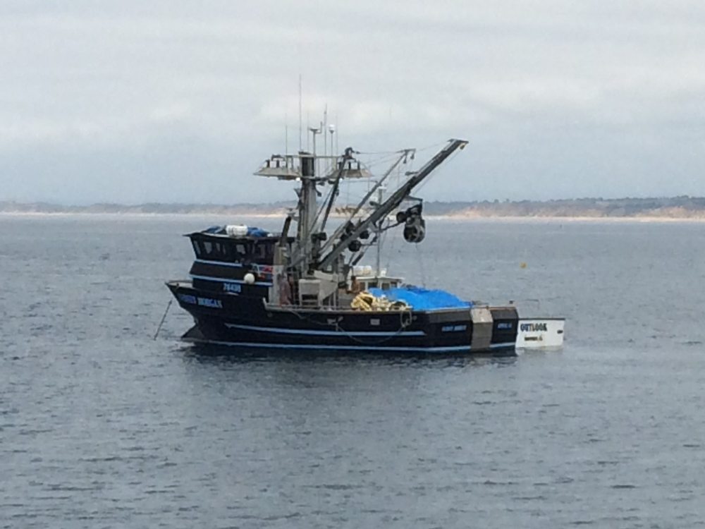 Dwain M.'s profile image