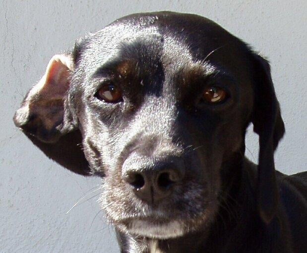 Debra E.'s profile image