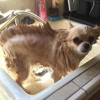 Dana R.'s profile image