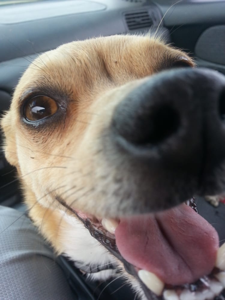 Hugh J.'s profile image