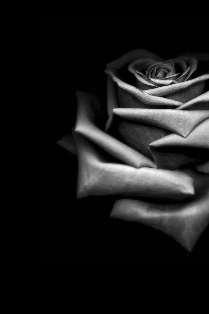 Amy A.'s profile image