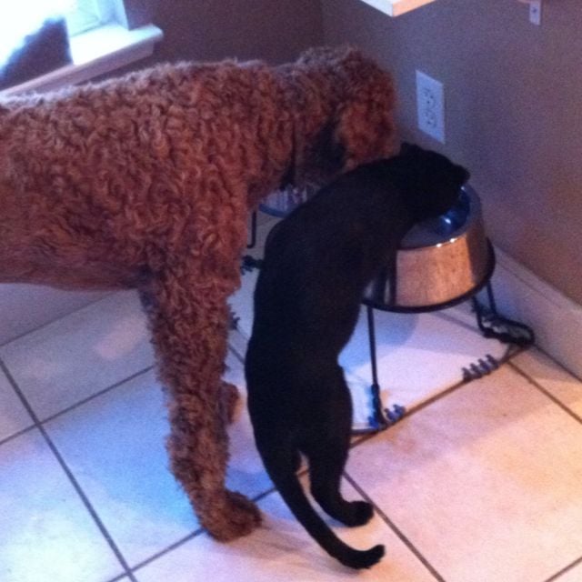 Heather R.'s profile image