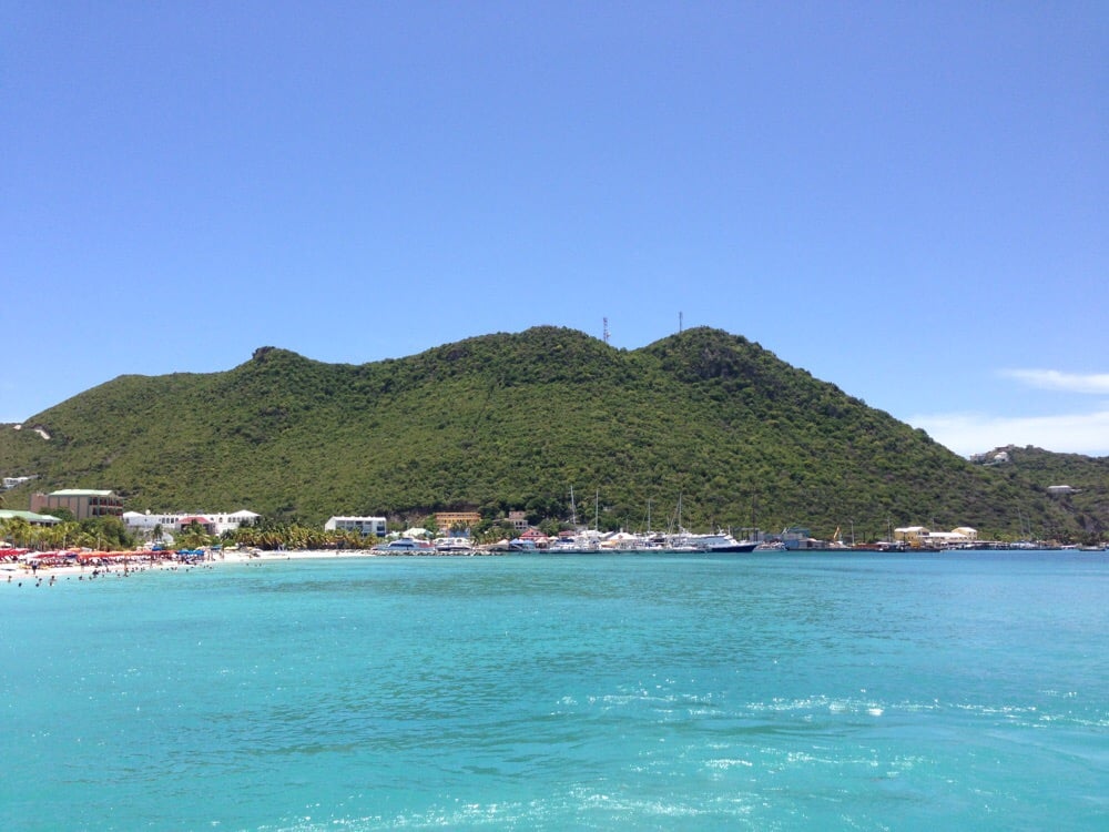 Steve D.'s profile image