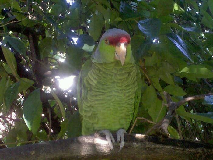 April A.'s profile image