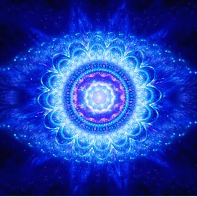 Michan C.'s profile image