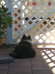 Pamela O.'s profile image