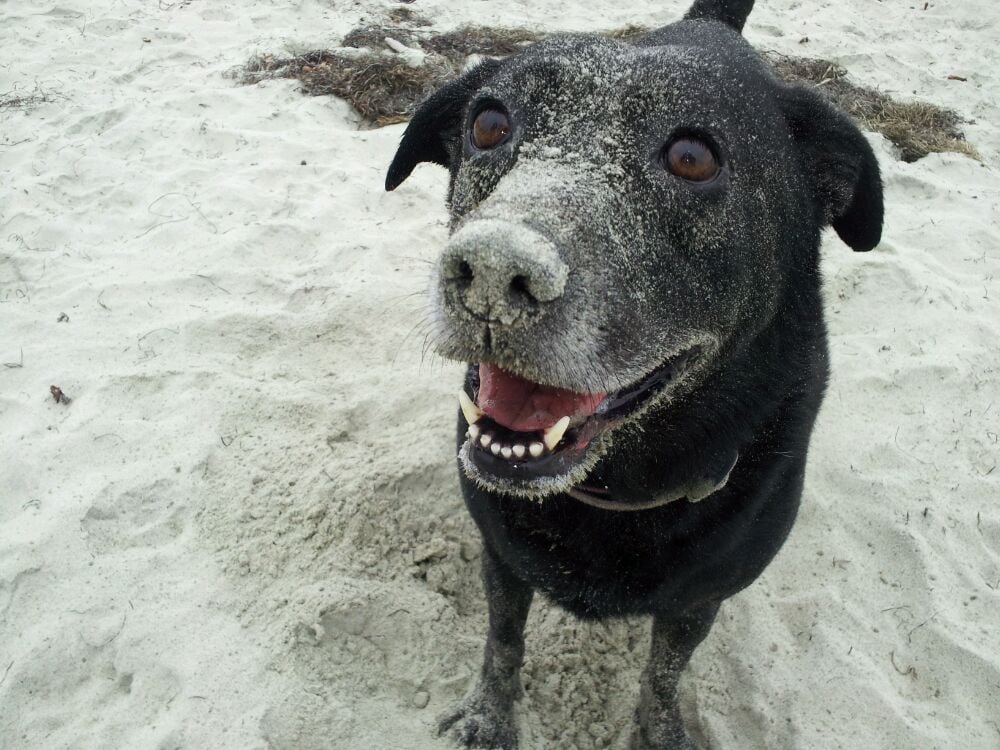 Derek Z.'s profile image