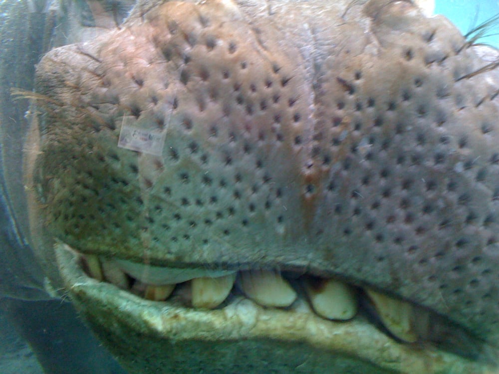 Mark W.'s profile image