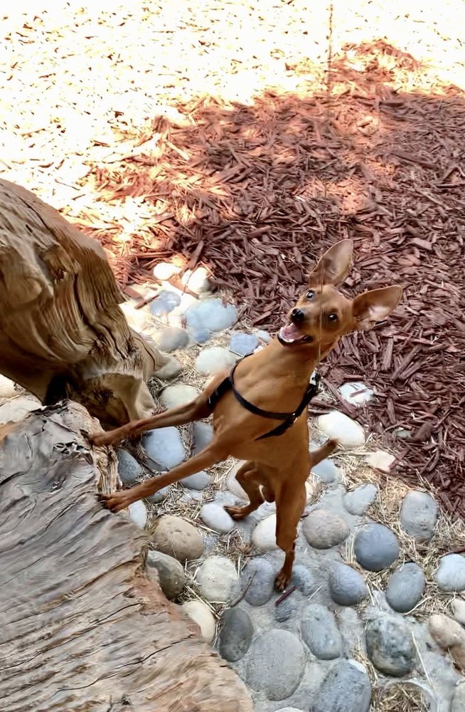 Adrienne A.'s profile image