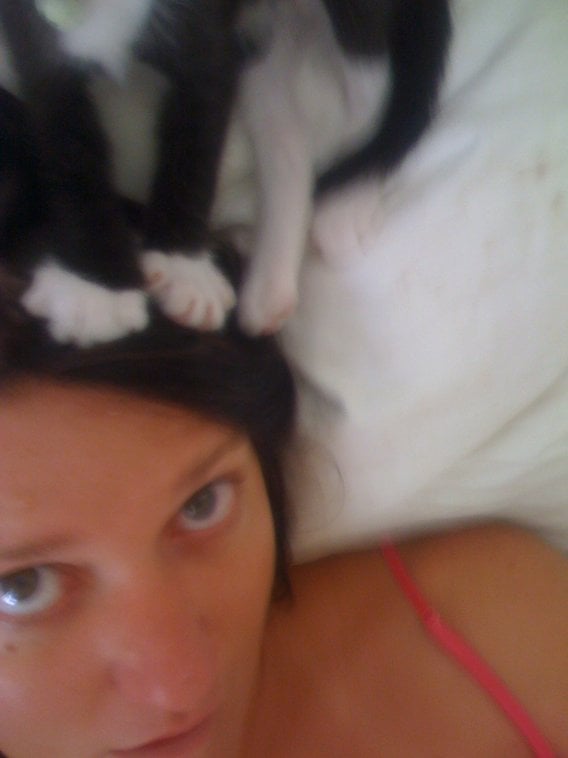 Starlight M.'s profile image