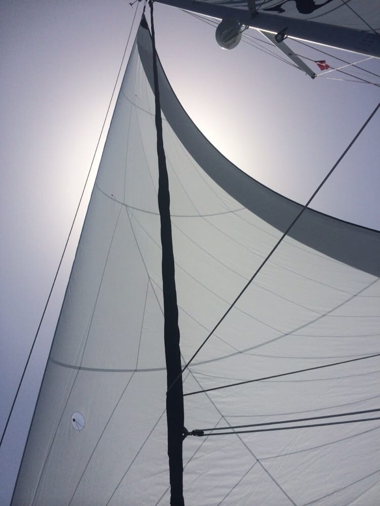 Mary B.'s profile image