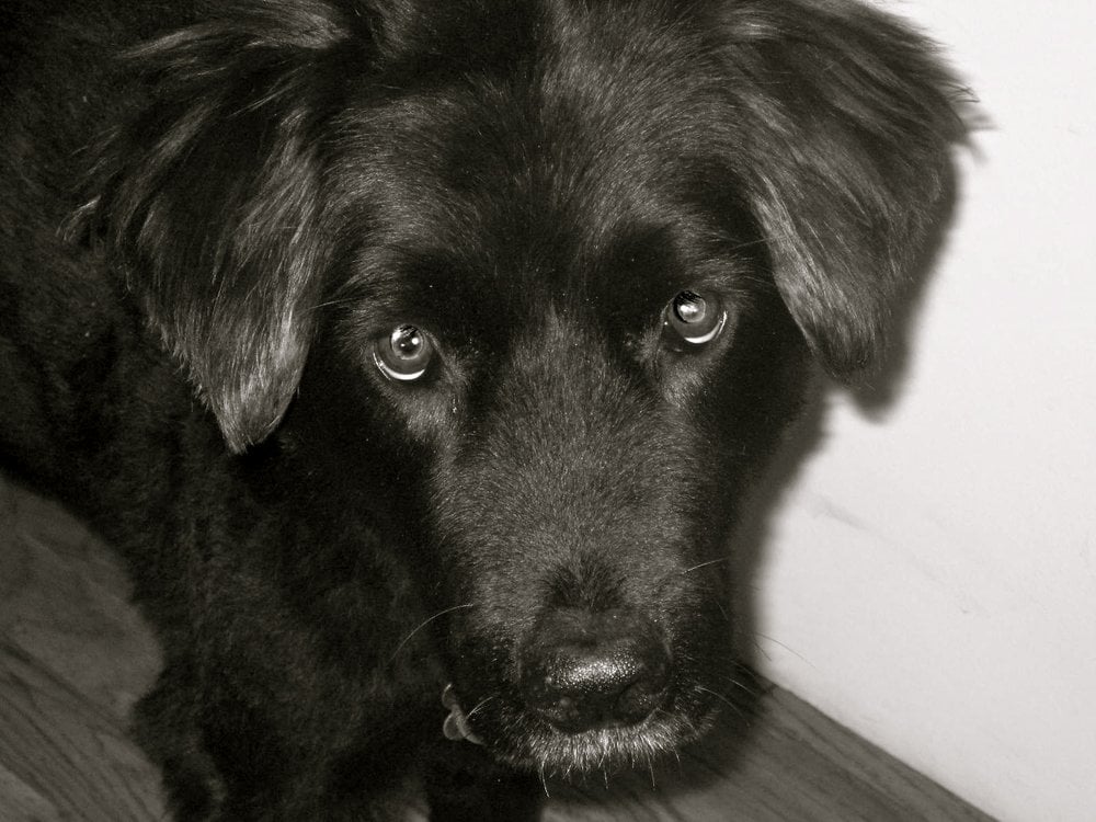 Katie M.'s profile image