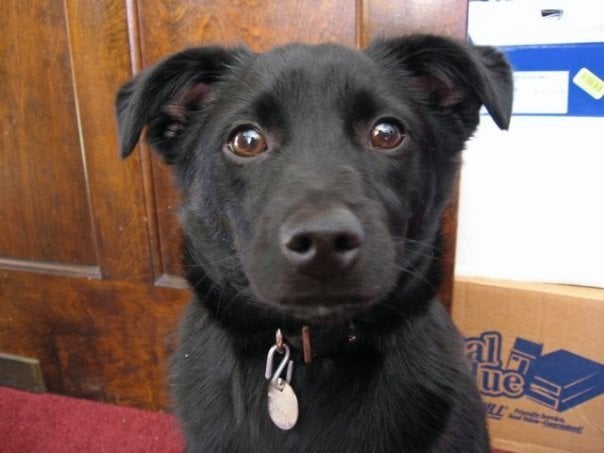 Rebecca S.'s profile image