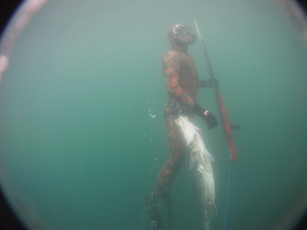 Shelli K.'s profile image