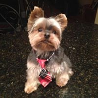 Linda C.'s profile image