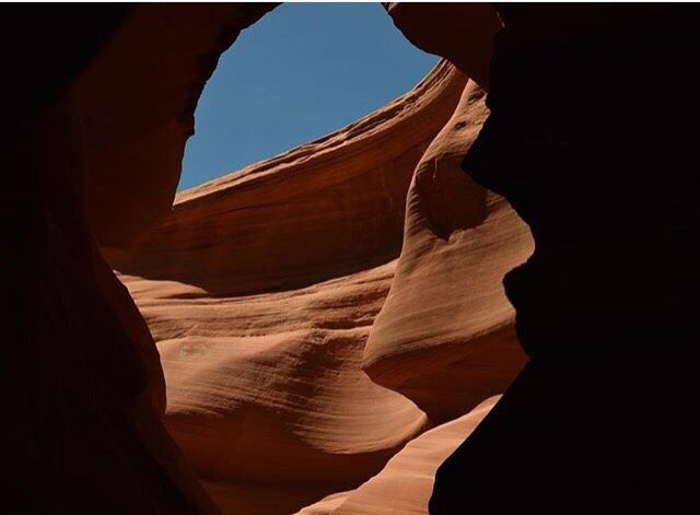 Vinyl R.'s profile image