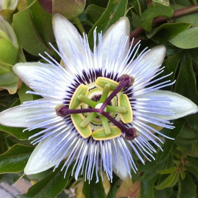 Brooke S.'s profile image