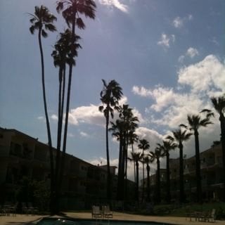 Sarah O.'s profile image