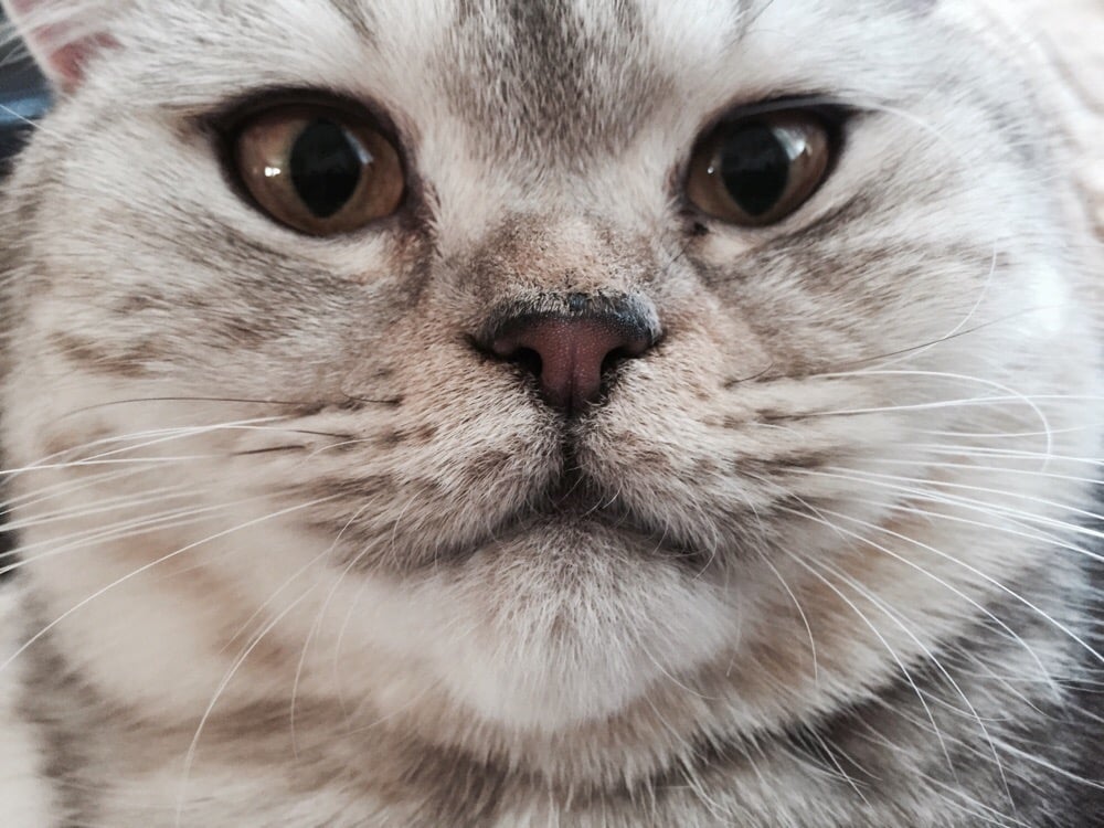 David P.'s profile image