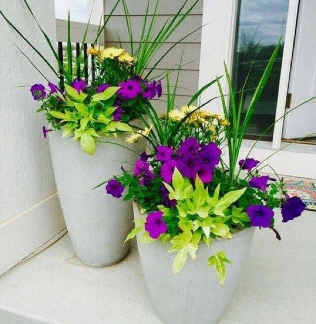 Lin A.'s profile image