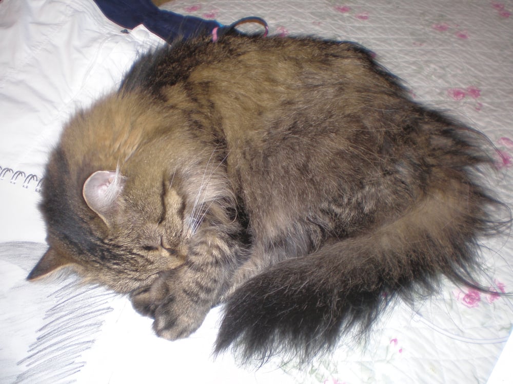 Gabrielle E.'s profile image