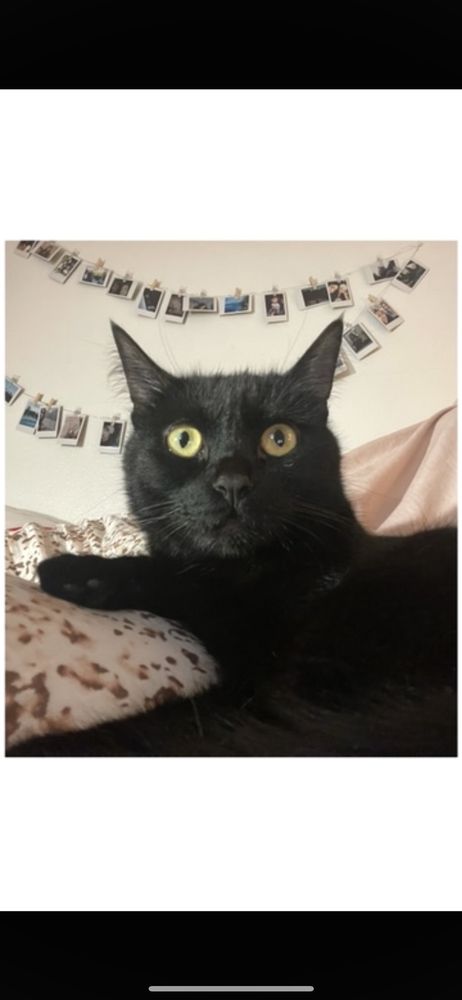 Parisa ..'s profile image