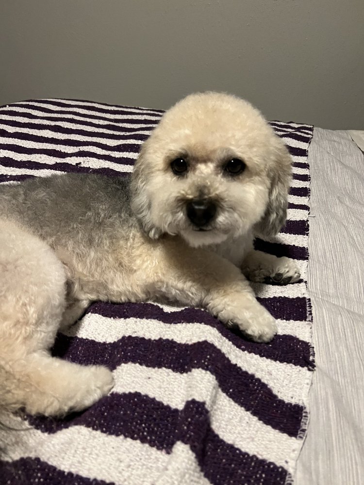 Jon L.'s profile image