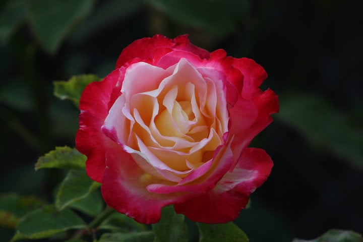 Tammy E.'s profile image