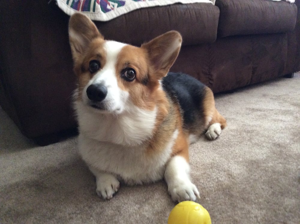 John B.'s profile image