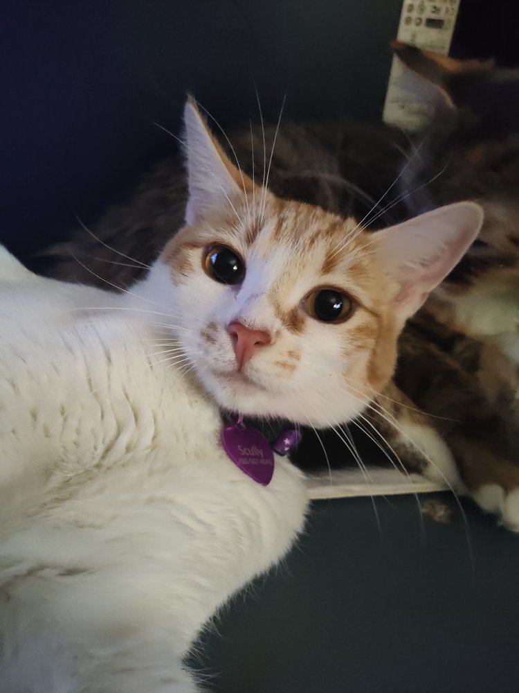 S K.'s profile image