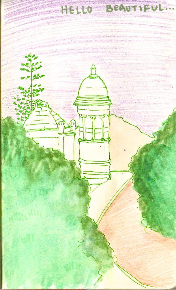 Saya L.'s profile image