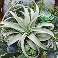 Melissa J.'s profile image