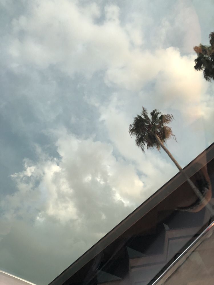 Regina S.'s profile image