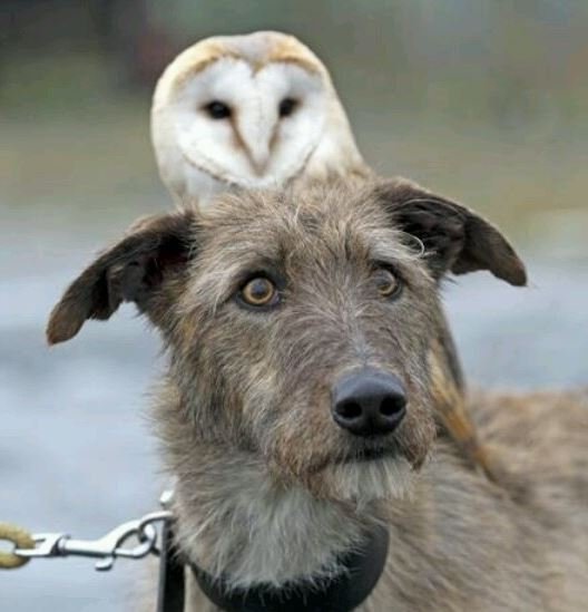 William W.'s profile image